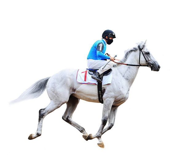 žokej koňský dostihový kůň izolovaný na bílém pozadí - Fotografie, Obrázek