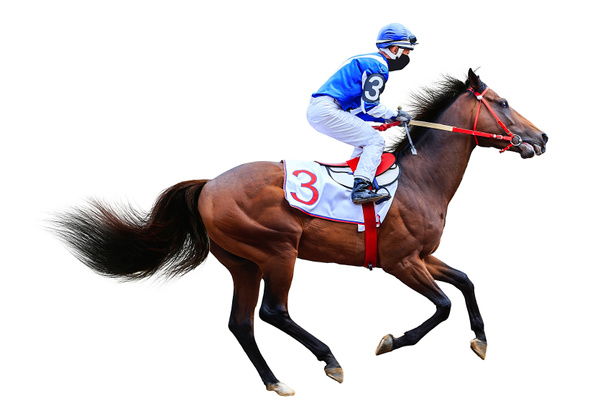 Jockey Koń wyścigi konne na białym tle - Zdjęcie, obraz