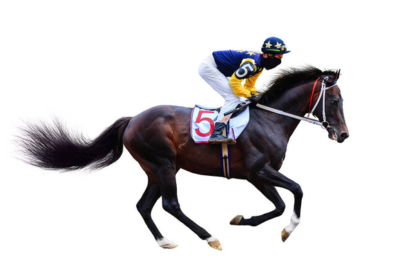 Jockey Lóverseny ló izolált fehér háttér - Fotó, kép