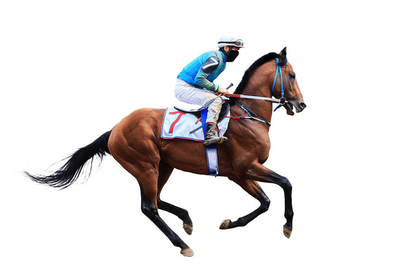 jockey horse racing horse isolated on white background - Photo, Image