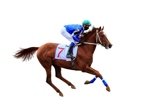 Jockey Pferd Rennpferd isoliert auf weißem Hintergrund - Foto, Bild
