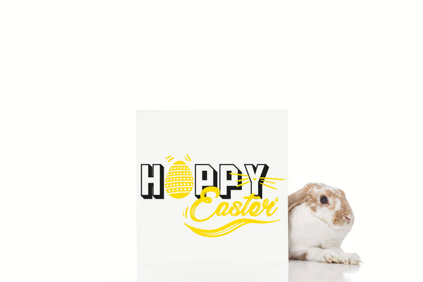cute bunny near board with happy Easter illustration isolated on white - Foto, afbeelding