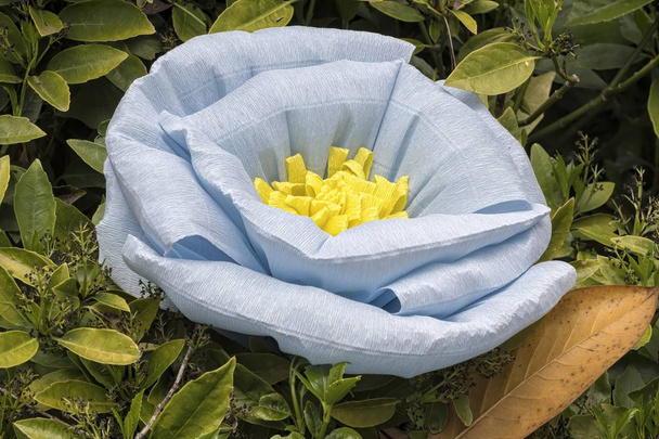 ručně vyráběné papierovi maché květiny - Fotografie, Obrázek