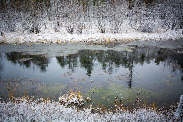 Il fiume di flusso invernale Foresta si trova e colpisce le rive della taiga siberiana
. - Foto, immagini