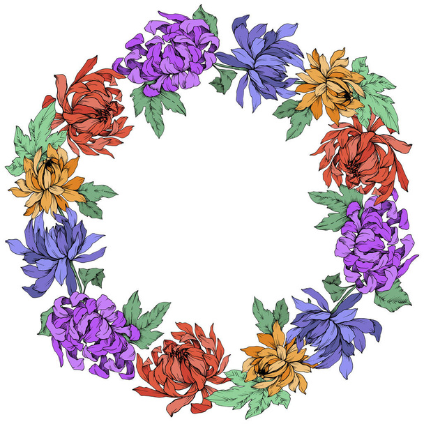 Vector Chrysanthemum flores botânicas florais. Arte de tinta gravada. Quadro borda ornamento quadrado
. - Vetor, Imagem