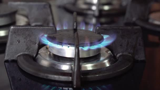 Голубой газ, горящий газ, кухонная плита
. - Кадры, видео