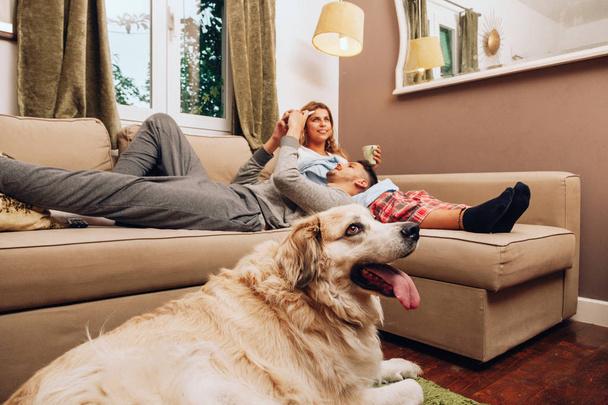 Jeune couple souriant ensemble sur le canapé fouetter leur chien
 - Photo, image