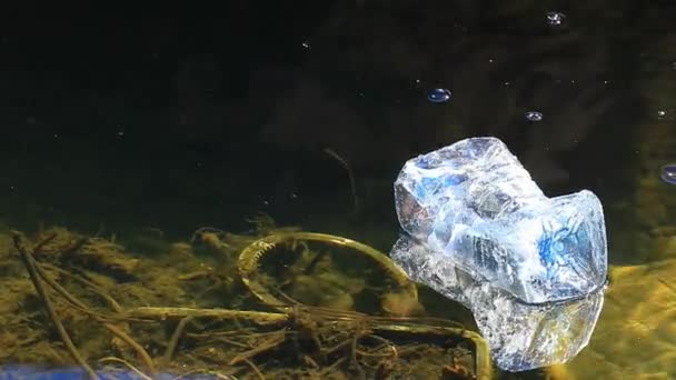 vazio garrafa de plástico lago ninguém hd imagens
  - Filmagem, Vídeo