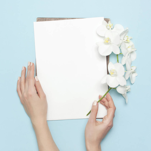 女性の手は、あなたのデザインの計画の概念のためのパステルブルーの背景上のビューフラットレイアウトモックアップ上の紙の空白の白いシートを蘭の花の枝を保持します。女性デスクトップ熱帯の花 - 写真・画像