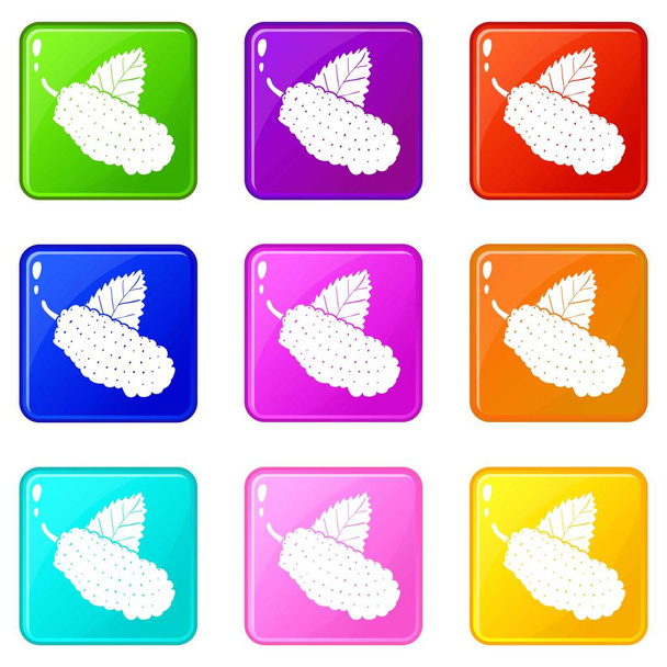 Mulberry icons set 9 color collection - Вектор, зображення