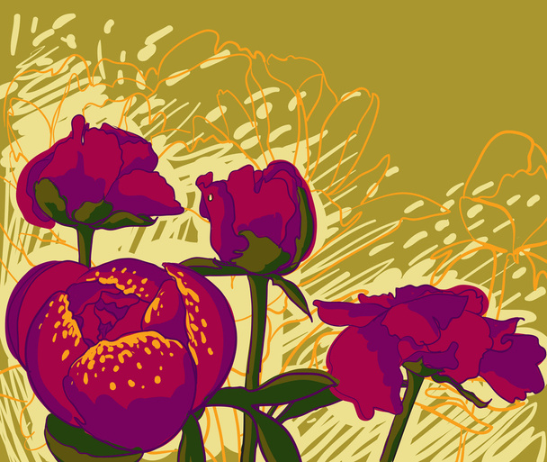 Vector decorative image peony flowers - Вектор,изображение