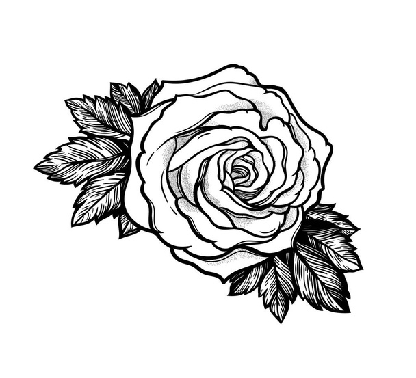 Beautiful hand drawn rose flower. Isolated vintage style, tattoo design vector illustration. - Vector, imagen