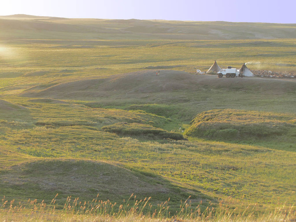 Station der Ruhe und des Wanderns. Fotos aus der Tundra. Man sieht stehendes Reh, Gesindel, Geländewagen.  - Foto, Bild