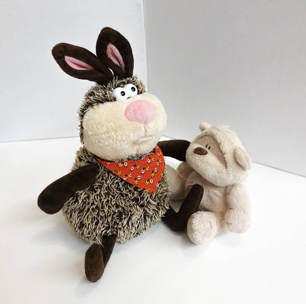Stuffed Toys. Hare and bear teddy. On a white background - Photo, Image