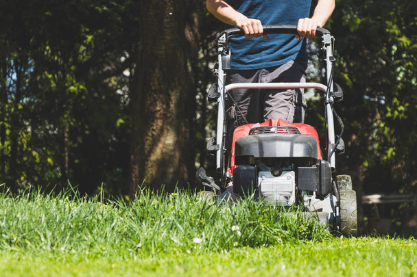 Mowing the grass with a lawn mower in garden at springtime. Cutting lawn at sunny day.  - Photo, Image