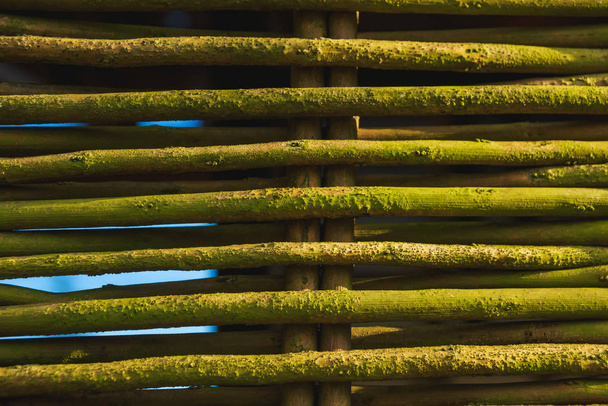 Rieten hek gemaakt van bamboe. Milieu natuurlijk bouwmateriaal. Textuur van geweven bamboe. - Foto, afbeelding