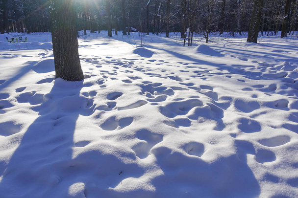 cumuli di neve e impronte sulla neve. Giornata di sole. Sfondo invernale
. - Foto, immagini