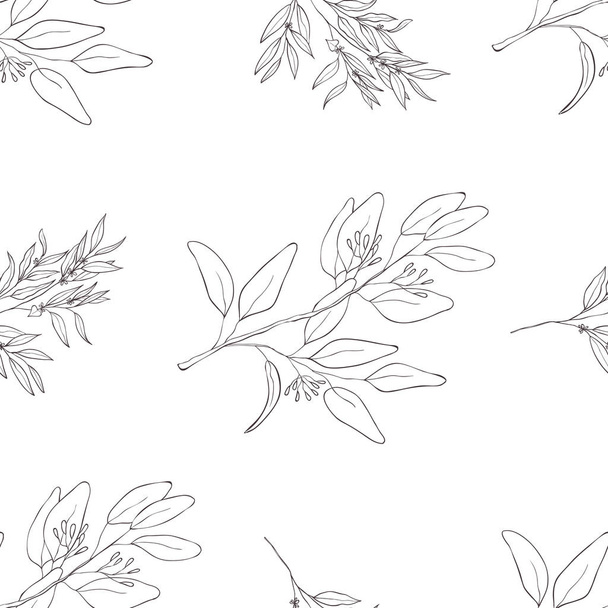 Seamless botanical line art pattern. Background with eucalyptus. - Vector, afbeelding