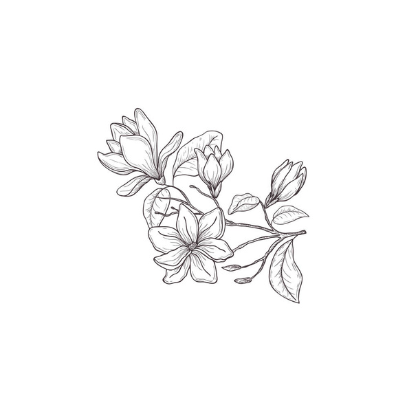 Floral hand drawn design elements. Line art isolated on the white background. - Wektor, obraz