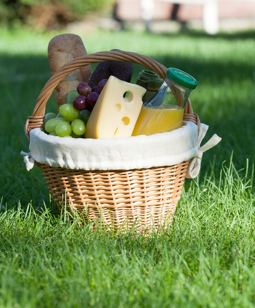 Outdoor picnic basket on green lawn - Photo, Image