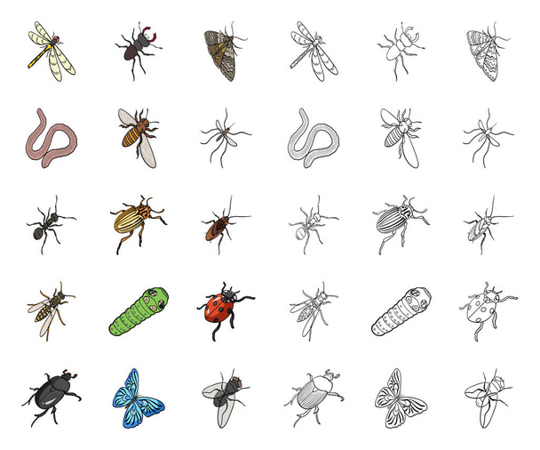 Diferentes tipos de dibujos animados de insectos, esbozan iconos en la colección de conjuntos para el diseño. Artrópodo insecto vector isométrico símbolo stock web ilustración
. - Vector, imagen