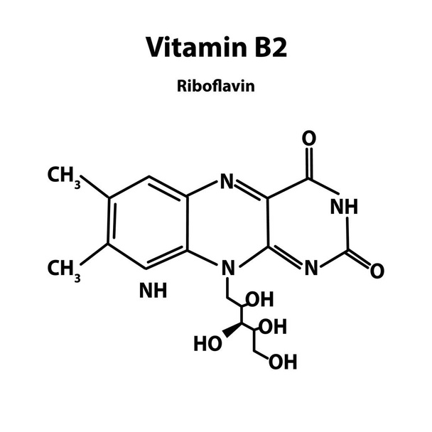 B2-vitamin. riboflavin molekuláris kémiai formula. Infographics. Vektoros illusztráció elkülönített háttéren. - Vektor, kép