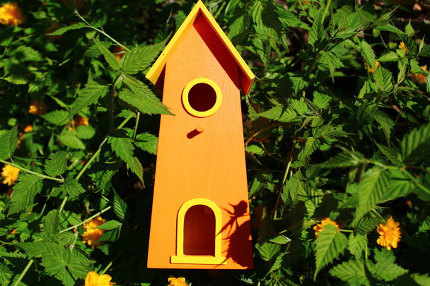 casa de pássaro no jardim - Foto, Imagem