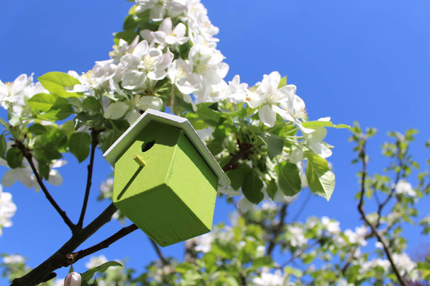 咲くリンゴの木の鳥小屋 - 写真・画像