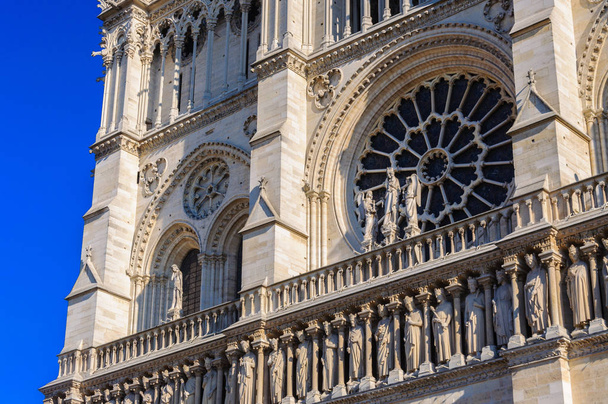 PARIS, FRANCE - APRIL 15, 2019: Notre Dame de Paris cathedral, France. Gothic architecture - Foto, imagen
