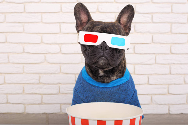 French Bulldog in 3D glasses. in fashionable jeans and a sweater - Foto, Bild