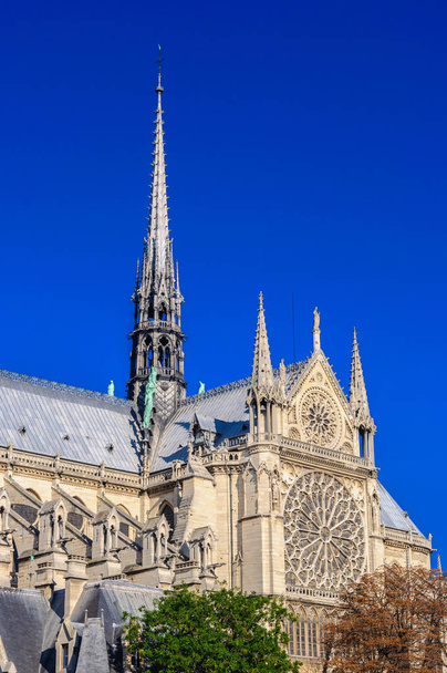 PARÍS, FRANCIA - 15 DE ABRIL DE 2019: Catedral de Notre Dame de París, Francia. Arquitectura gótica
 - Foto, imagen