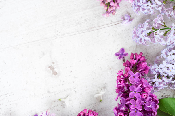 Fresh lilac flowers - Foto, Bild