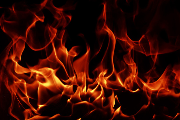 Fire flames - Foto, imagen