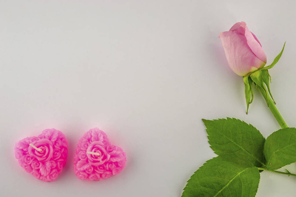 Vaaleanpunainen ruusu koristeelliset yksityiskohdat valkoisella taustalla
 - Valokuva, kuva