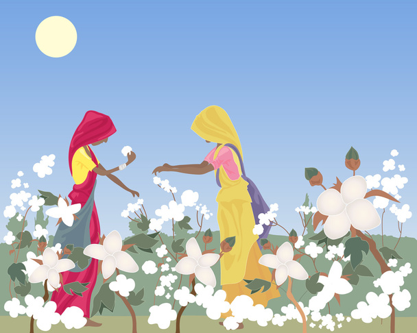 cotton picking - Vector, afbeelding