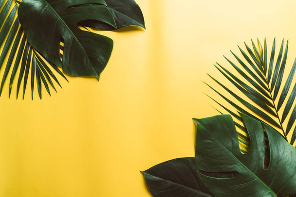 Tropical palm leaves with copy space - Valokuva, kuva