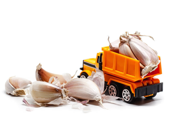 A yellow toy dump truck with garlic on white background for food and transportation concept - Foto, afbeelding
