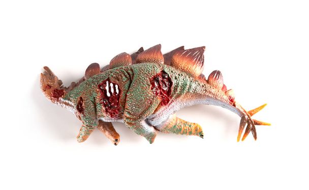 Stegosaurus ruumis valkoisella pohjalla
 - Valokuva, kuva