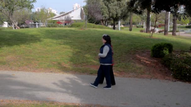 思いやりのある娘は、公園で高齢の母親と一緒に歩きます。または介護者は、歩く棒で老婦人と散歩. - 映像、動画