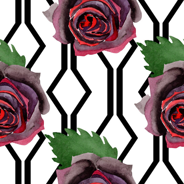 Černé růže květinové botanické květiny. Vodný obrázek pozadí-barevný. Bezespání vzorek pozadí. - Fotografie, Obrázek