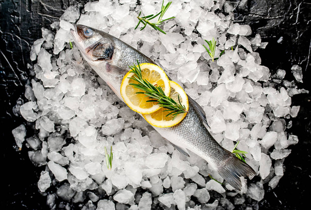 Vista próxima de peixe fresco com fatias de limão e alecrim em pilha de gelo picado a frio
 - Foto, Imagem