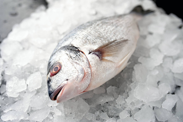 Vista de cerca del pescado fresco en la pila de hielo frío triturado
 - Foto, imagen