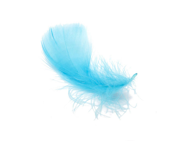 Μπλε χνουδωτό φτερό μαλακό απομονώνεται στο λευκό φόντο στούντιο - Φωτογραφία, εικόνα