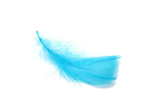Blue fluffy feather soft isolated on the white studio background - Photo, Image