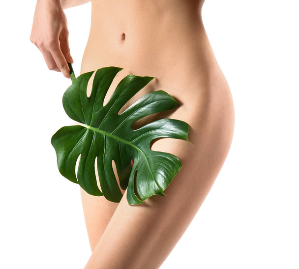 Naked young woman with green leaf on white background. Epilation concept - Fotó, kép