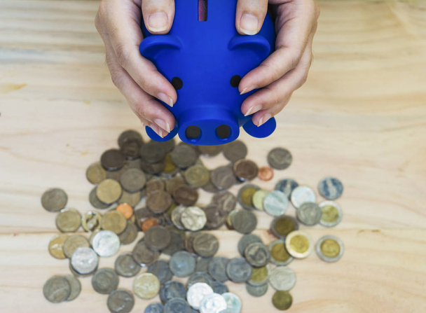 Ruka držící modrou čuňasovou banku a mince jsou umístěny na dřevo - Fotografie, Obrázek