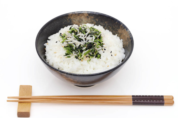 Japonská Shirasu a takana zelenina na bílém pozadí z vařené bílé rýže  - Fotografie, Obrázek
