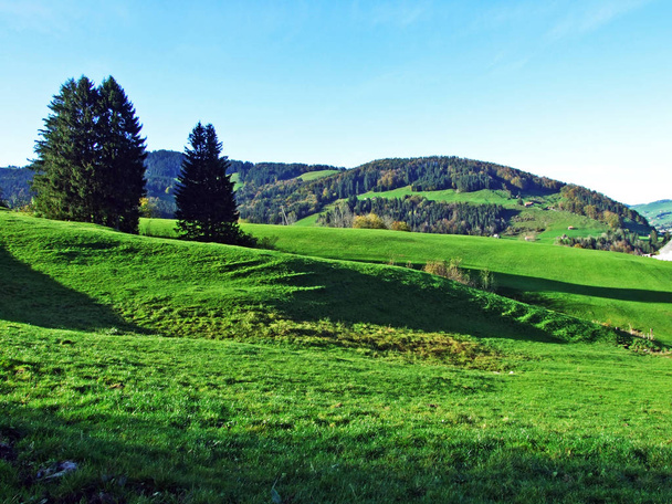 Альпійські пасовища і Луки в районі Азенеллерланд і на схилах гірського хребта Альпштайн-Кантон Аппенцелль Innerrhoden (AI), Швейцарія - Фото, зображення