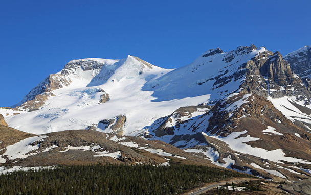 Вид на гору Атабаска-Columbia Icefield, Національний парк Джаспер, Альберта, Канада - Фото, зображення