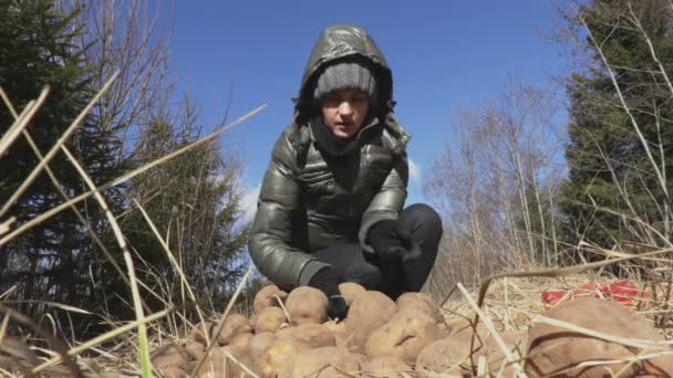 Kobieta rzuca ziemniaki wokół trawy. Koncepcja karmienia zwierząt dzikich - Materiał filmowy, wideo